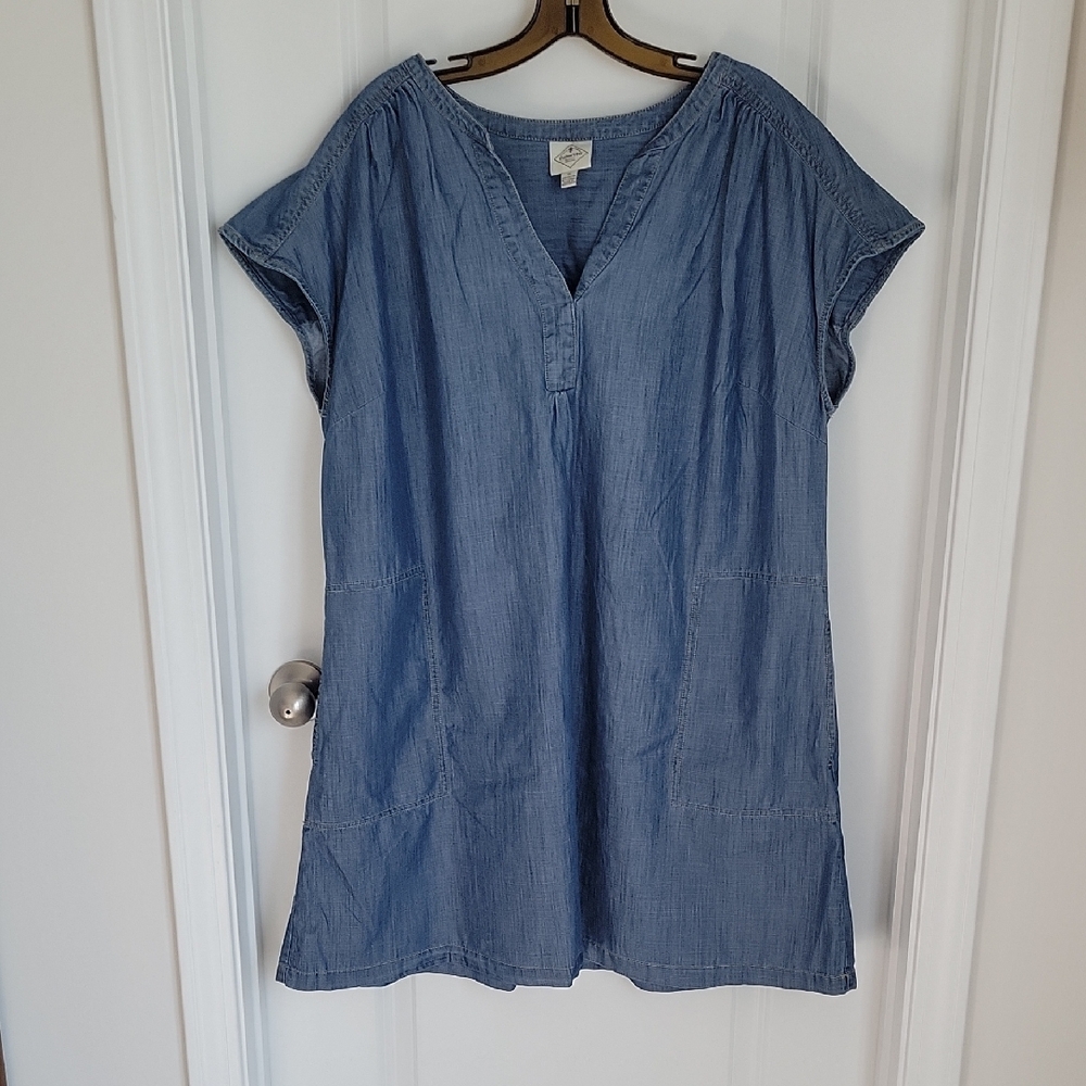 Blue Flutter Sleeve Tunic Dress